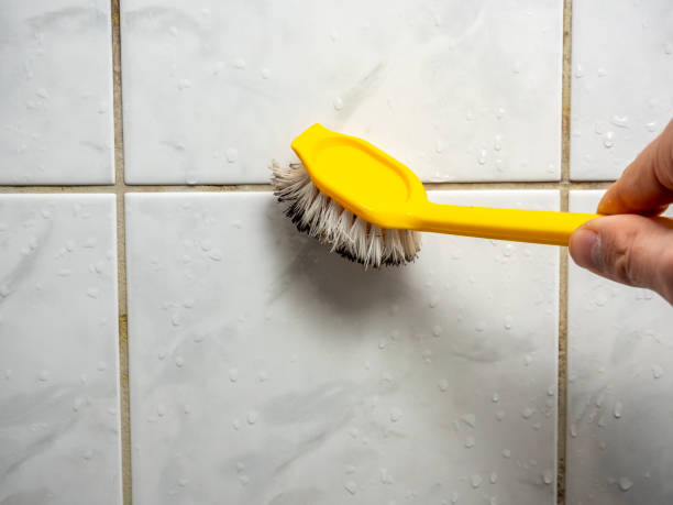 Best Mold Removal Process  in Newellton, LA