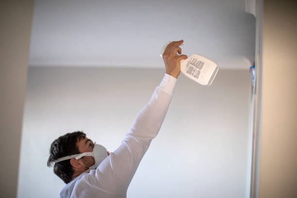 Reliable Newellton, LA Mold Removal Solutions