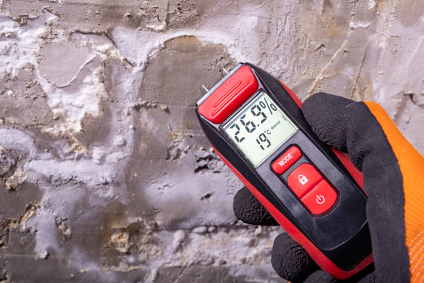 Best Water Damage Restoration  in Newellton, LA
