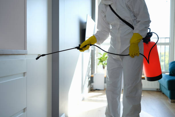 Best Professional Mold Removal  in Newellton, LA