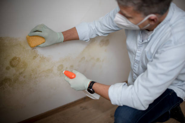 Water Damage Restoration in Newellton, LA