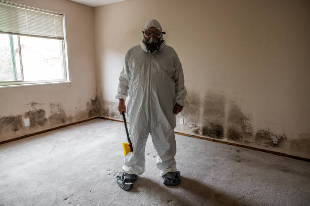 Certified Mold Removal in Newellton, LA